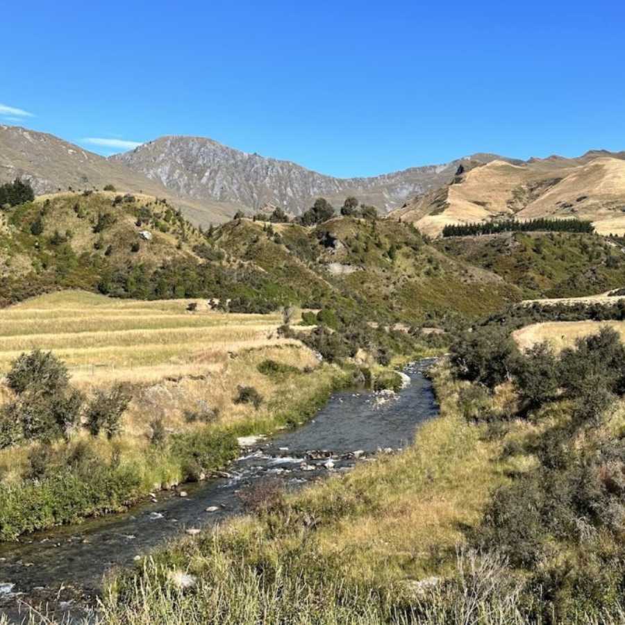 Mahu Whenua